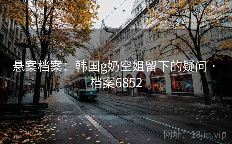 悬案档案：韩国g奶空姐留下的疑问 · 档案6852