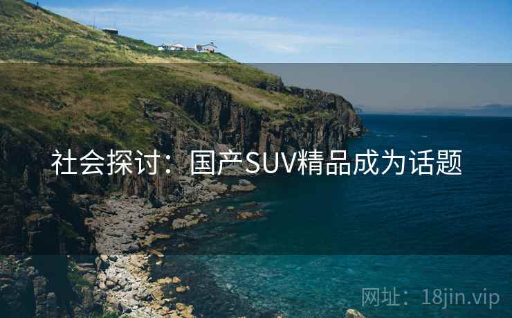 社会探讨：国产SUV精品成为话题