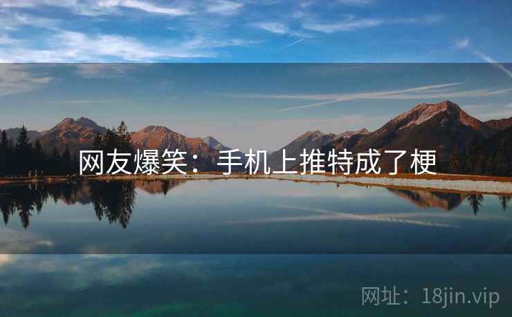 网友爆笑：手机上推特成了梗